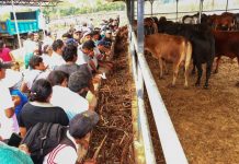 MÁS DE 100 GANADEROS FORTALECEN CONOCIMIENTO PARA MEJORAR PRODUCCIÓN