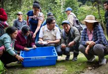 Vraem: Devida fortalece la producción de truchas a favor de familias de Pangoa y Andamarca